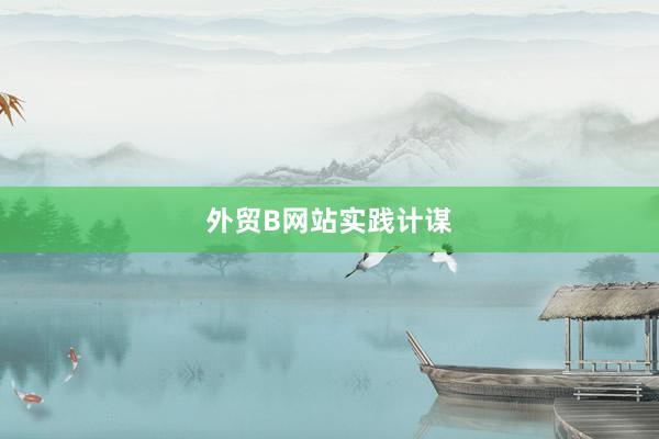 外贸B网站实践计谋