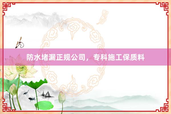 防水堵漏正规公司，专科施工保质料