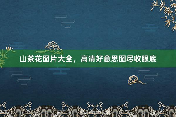 山茶花图片大全，高清好意思图尽收眼底