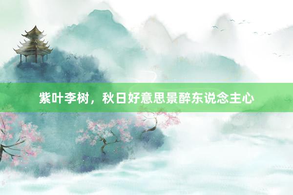 紫叶李树，秋日好意思景醉东说念主心